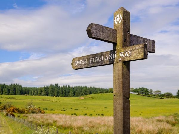 Signpost to the way