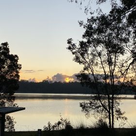 Lake MacDonald - Tewantin National Park September 2024