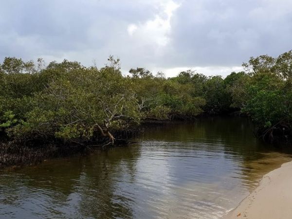 Mudjimba Beach & Maroochy River Conservation Park