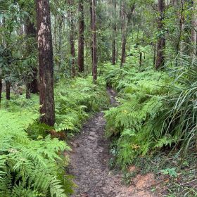 Ewen Maddock Dam September 2024