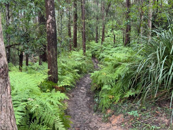 Ewen Maddock Dam