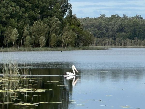 Ewen Maddock Dam