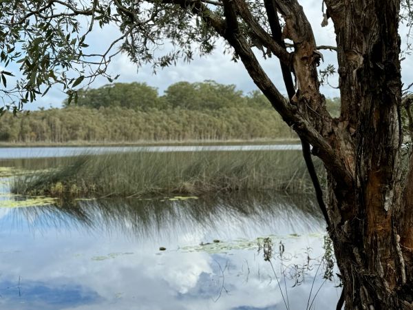 Ewen Maddock Dam