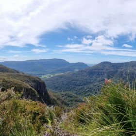 Daves Creek Circuit - Magical Binna Burra Hike October 2024