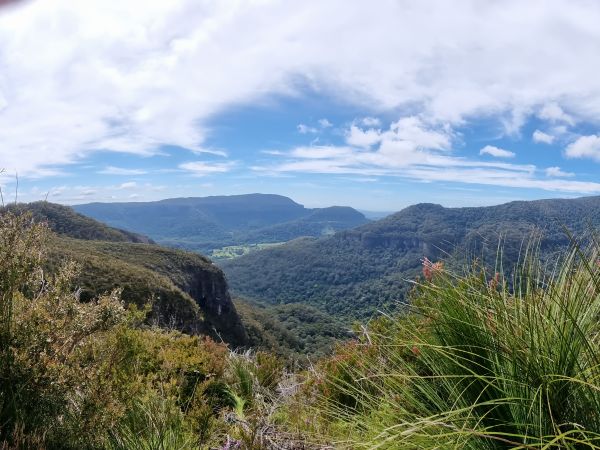 Daves Creek Circuit - Magical Binna Burra Hike