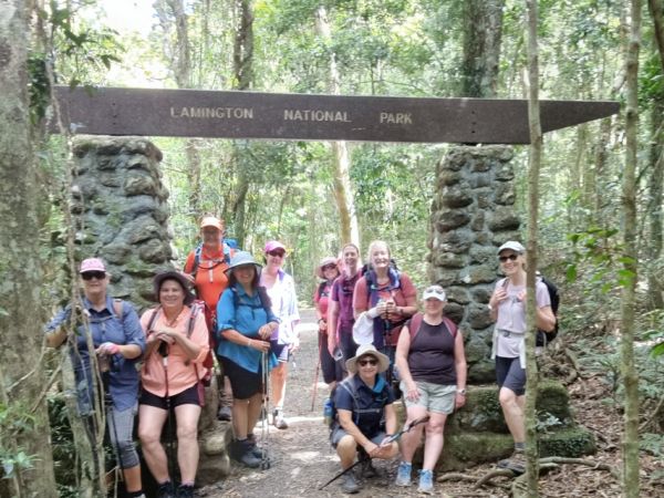 Daves Creek Circuit - Magical Binna Burra Hike