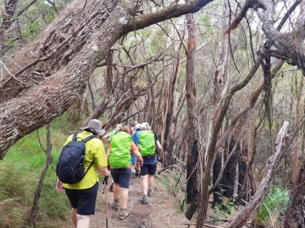 Daves Creek Circuit - Magical Binna Burra Hike