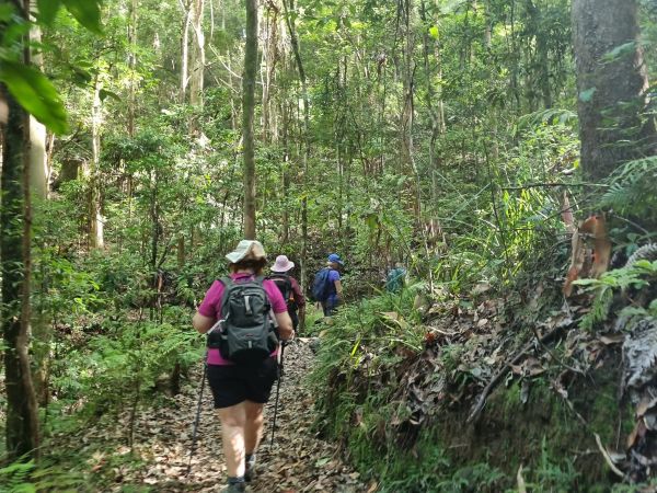 A Delightful Dawdle in the D’Aguilar - Thylogale Track