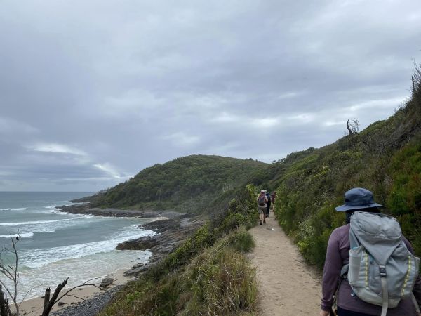 Noosa Headlands - Beach and Forest