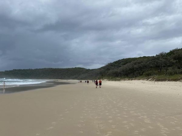 Noosa Headlands - Beach and Forest