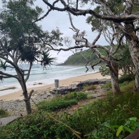 Noosa Headlands - Beach and Forest