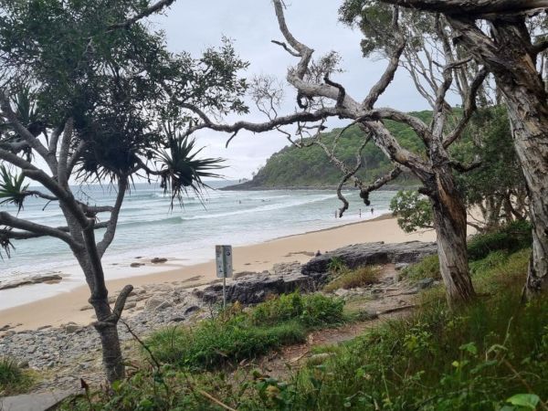 Noosa Headlands - Beach and Forest