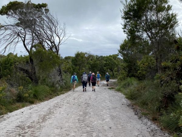 Noosa Headlands - Beach and Forest