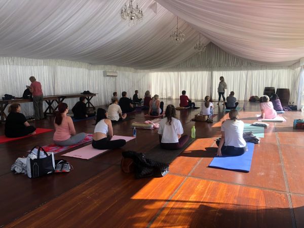 Yoga and Picnic in The Vineyard