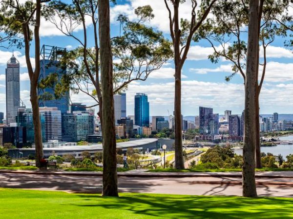 Kings Park Botanicals & Social Bushland Walk