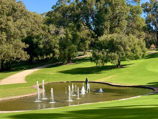 Kings Park Botanicals & Social Bushland Walk