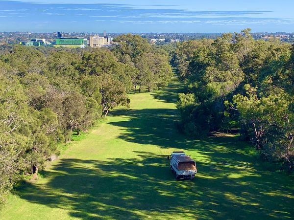 Kings Park Botanicals & Social Bushland Walk