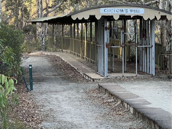 Lake Leschenaultia Social Walk