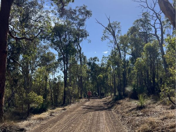 Lake Leschenaultia Social Walk