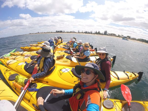 Seal and Penguin Islands Sea Kayak Day Tour