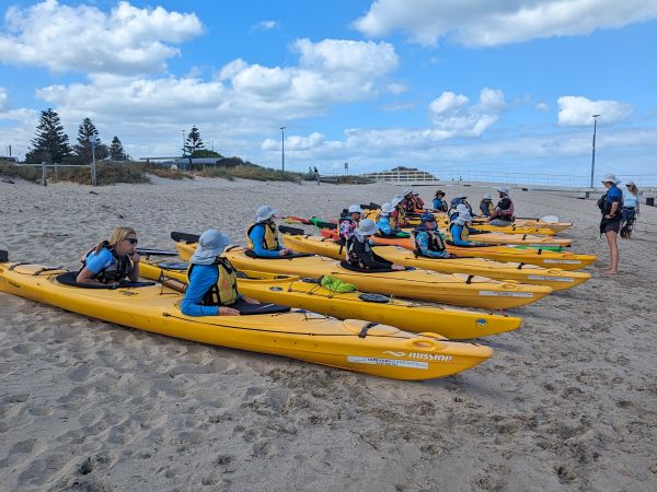 Seal and Penguin Islands Sea Kayak Day Tour