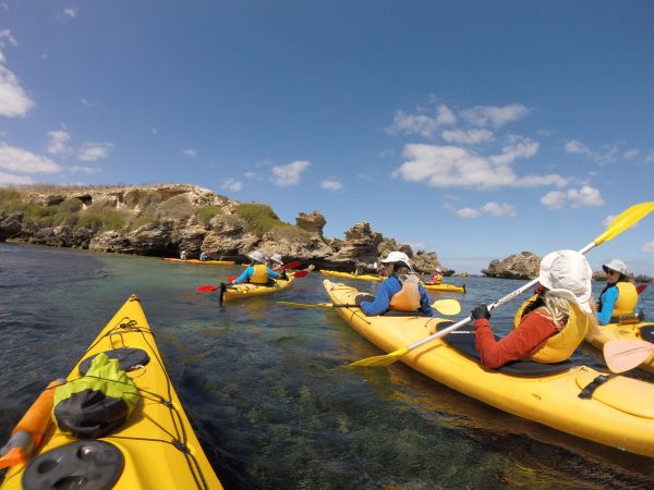 Seal and Penguin Islands Sea Kayak Day Tour