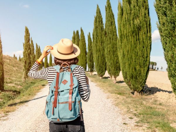 Cypress tree-lined roads