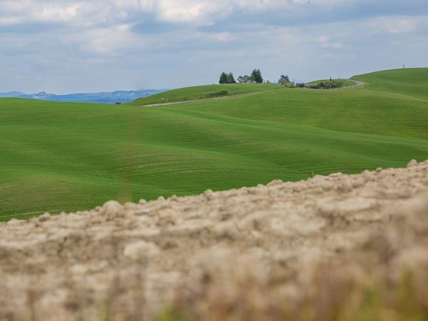 Rolling hills of Tuscany