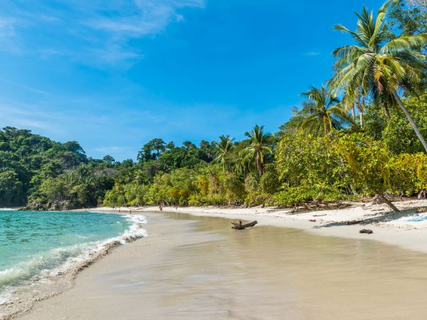 Manuel Antonio