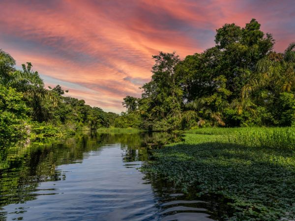 Tortuguero National Park