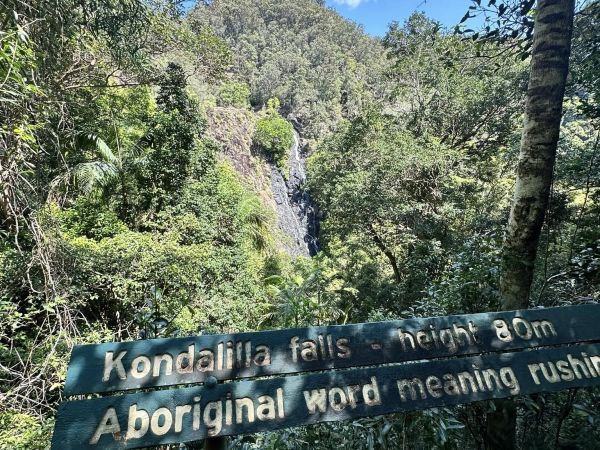 Forest Bathing at Kondalilla ‘rushing waters’