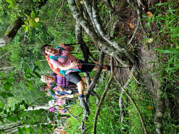 Forest Bathing at Kondalilla ‘rushing waters’