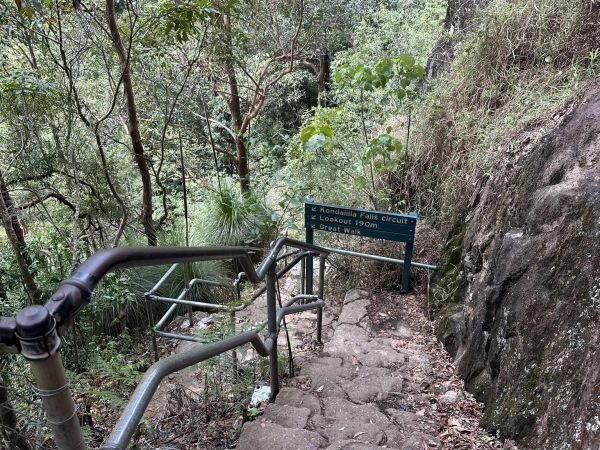 Forest Bathing at Kondalilla ‘rushing waters’