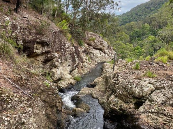 Forest Bathing at Kondalilla ‘rushing waters’