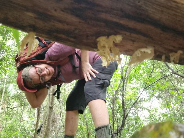 Forest Bathing at Kondalilla ‘rushing waters’