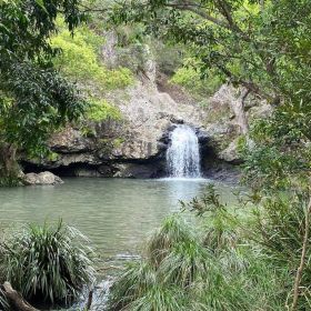 Forest Bathing at Kondalilla ‘rushing waters’ January 2025