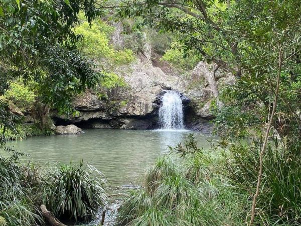 Forest Bathing at Kondalilla ‘rushing waters’