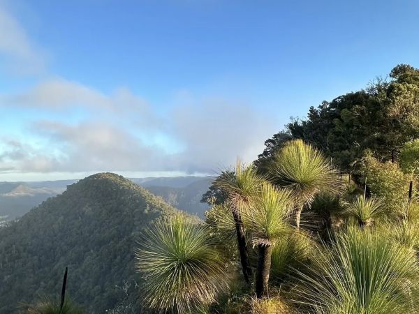 Morning Tea on Mt Mitchell