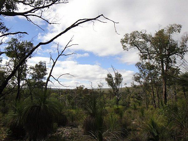 Sunrise Hike: Sullivan Rock Carpark to Mt Vincent