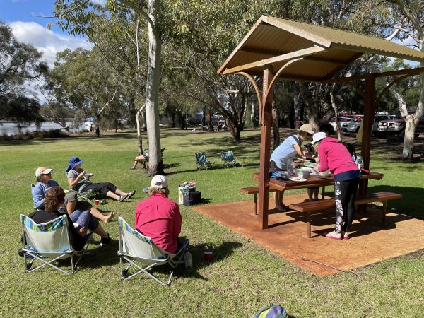 Swan River Half-Day Kayaking Adventure