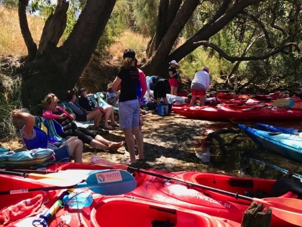 Swan River Half-Day Kayaking Adventure