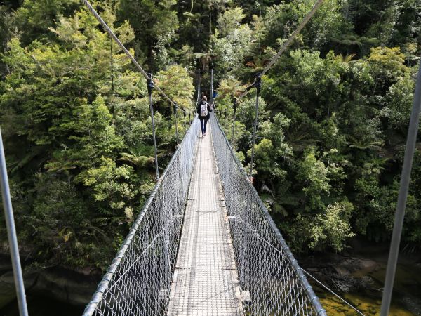 Swing bridge on the Abel Tasman track