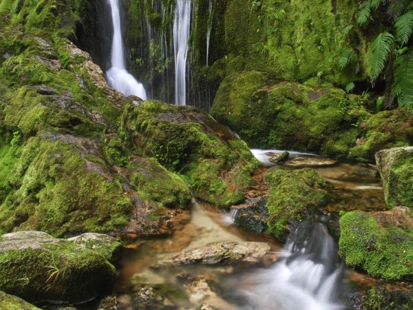 Waterfalls on the Abel Tasman Track