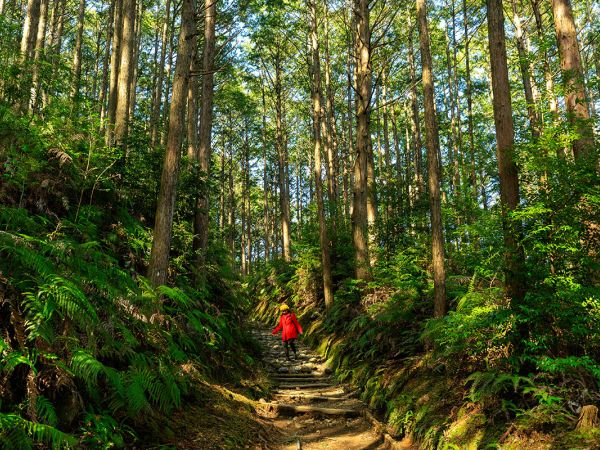 Hiking the Kumano Kodo Trek