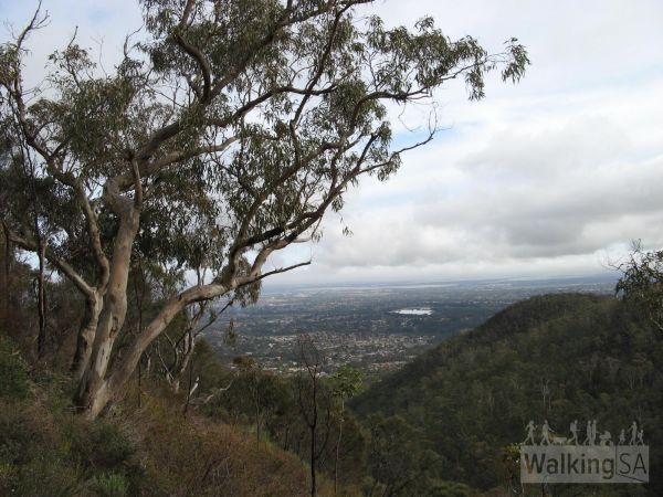 Ambers Gully Track view - image courtesy of Hiking SA