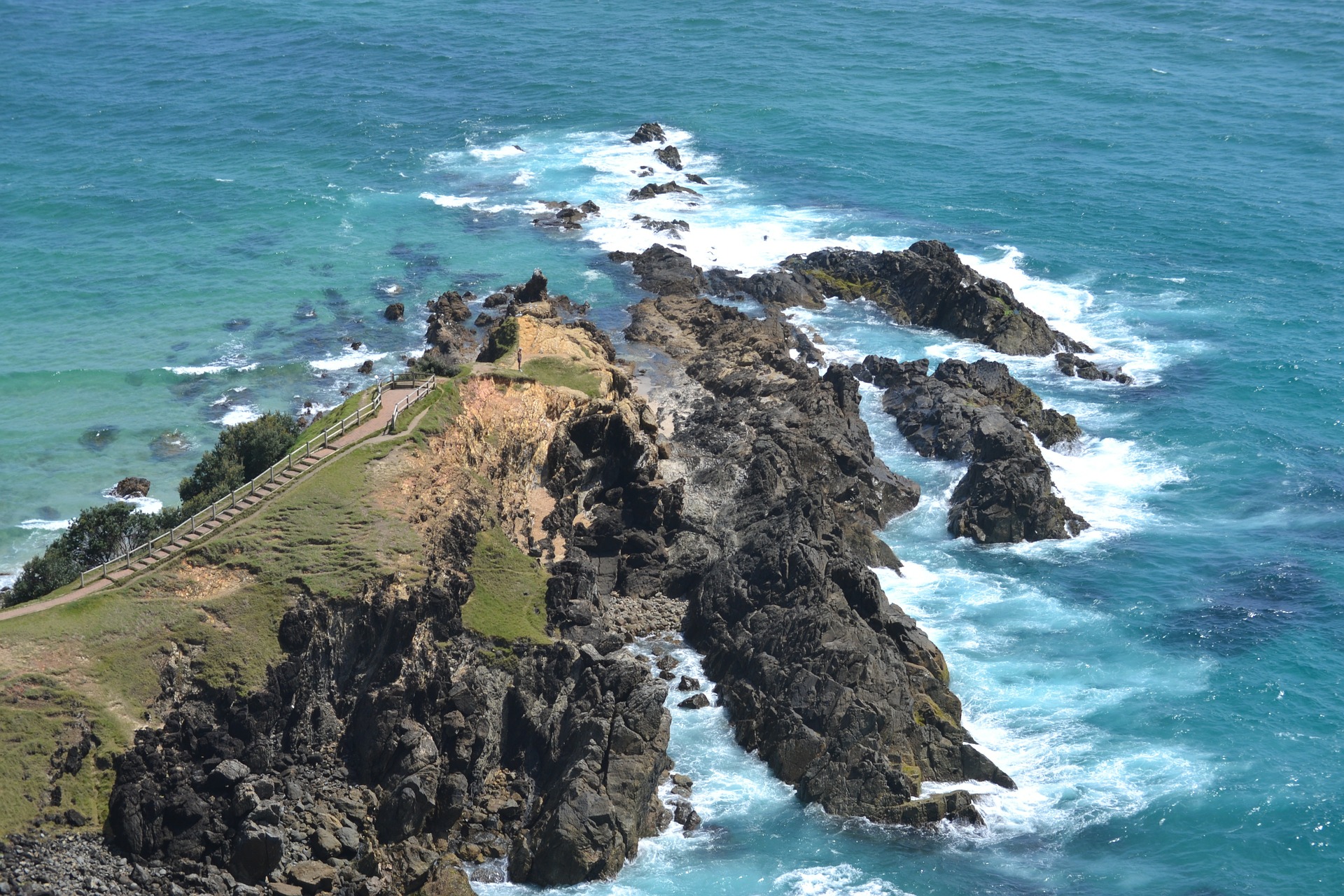 Dolphins at Cape Byron - Picture of Lighthouse Trail, Byron Bay